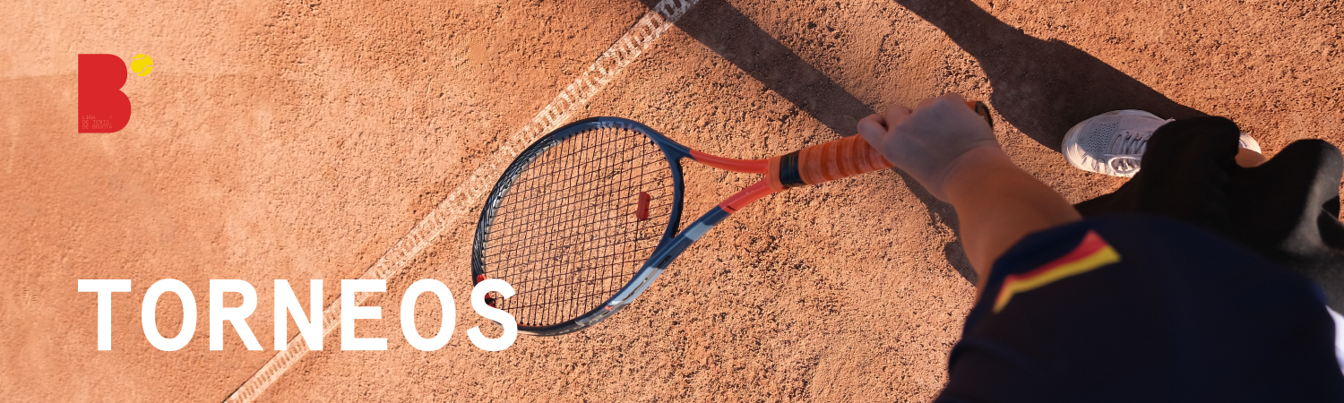 Slide ' . $inicio . '